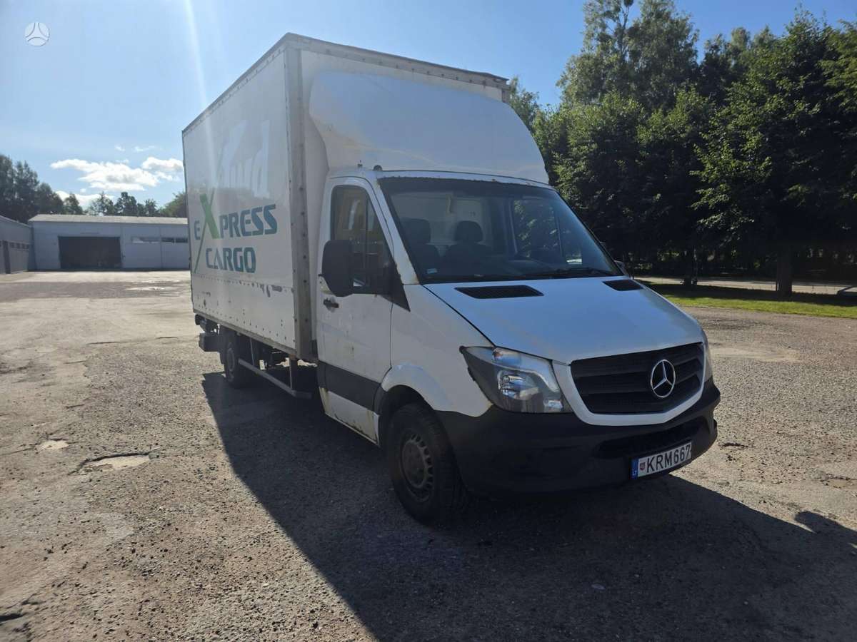 Mercedes-Benz Sprinter 2009 — rear view