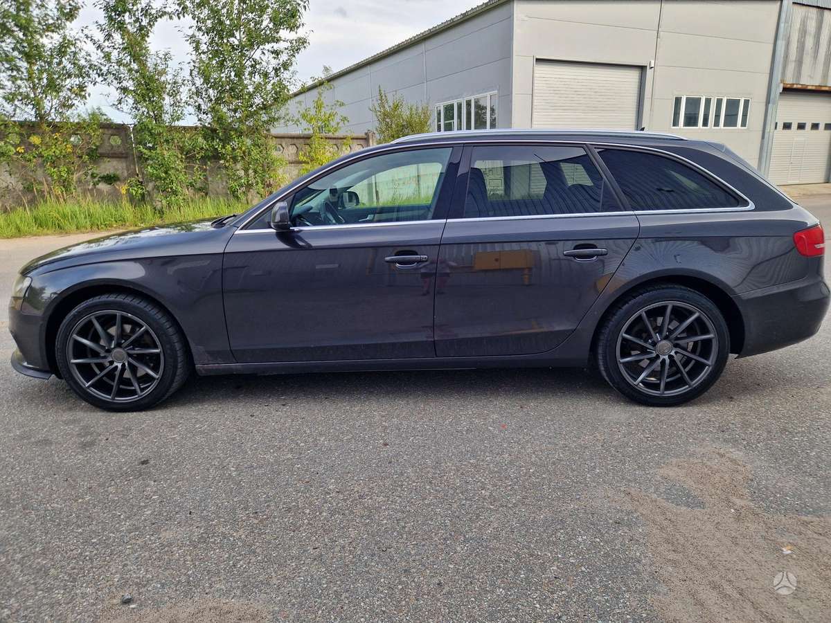 Audi A4 2010 — вигляд ззаду
