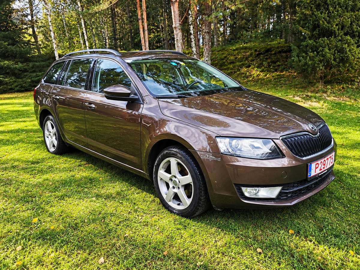 Skoda Octavia 2014 — rear view