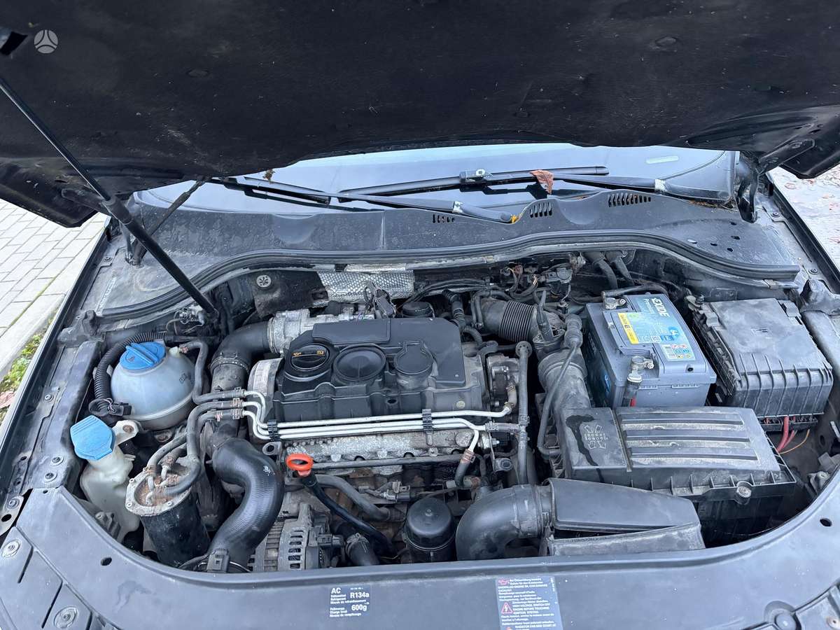 Volkswagen Passat 2006 — вигляд ззаду