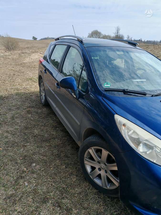 Peugeot 207 2009 — rear view