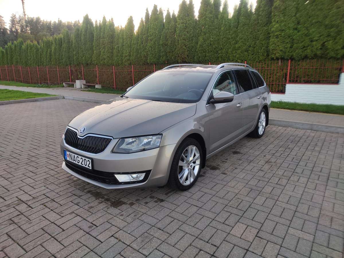 Skoda Octavia 2013 — вигляд ззаду