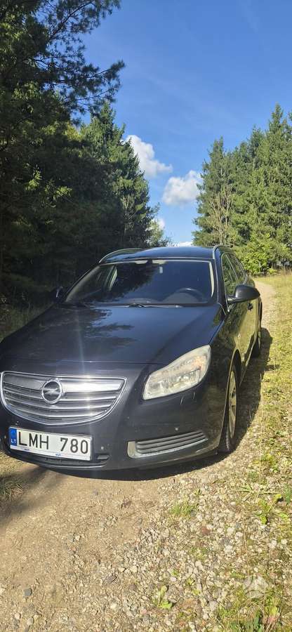 Opel Insignia, 2010