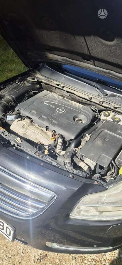 Opel Insignia 2010 — вигляд ззаду