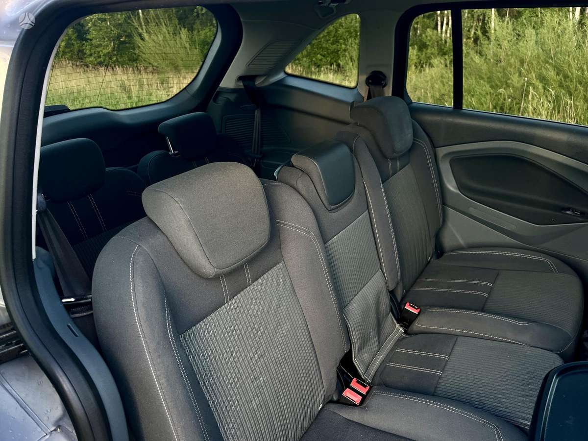 Ford Grand 2010 — photo 12