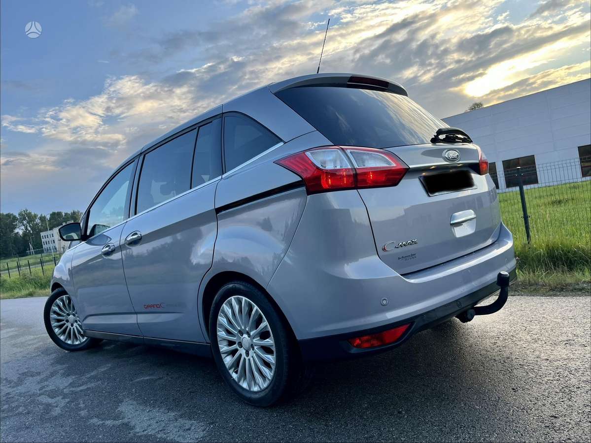 Ford Grand 2010 — photo 5