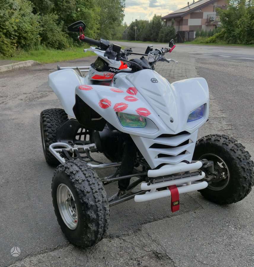 Kawasaki KFX 2007 — rear view