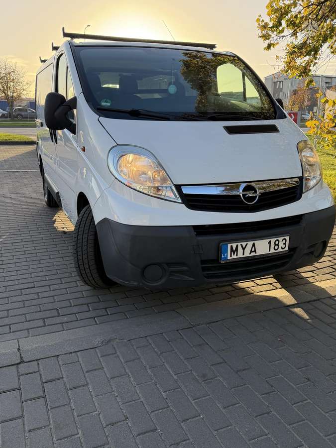 Opel Vivaro 2008 — rear view