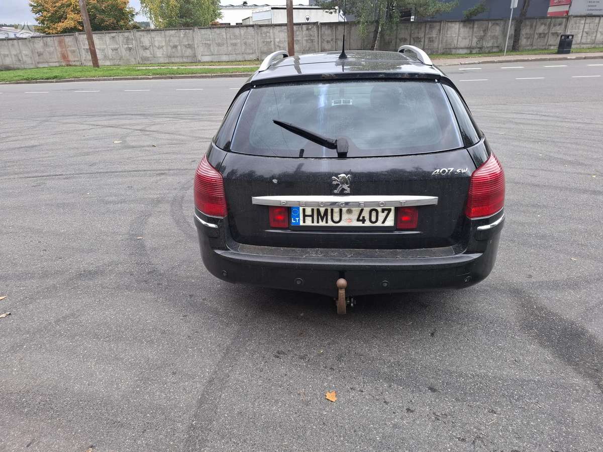Peugeot 407 2007 — rear view
