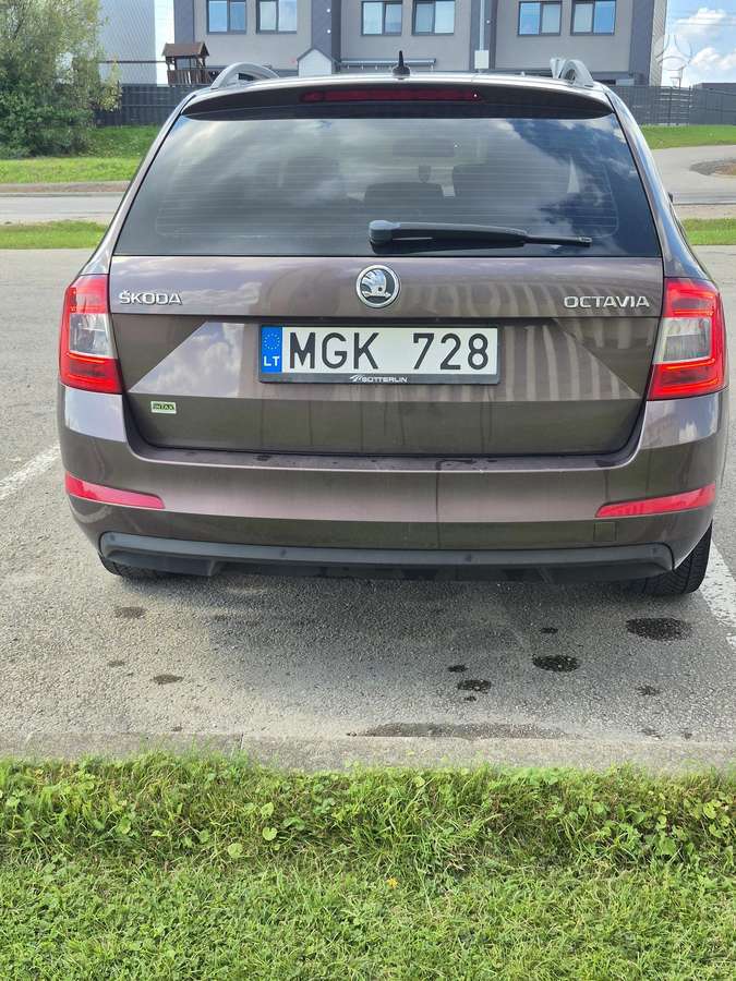 Skoda Octavia 2013 — photo 5