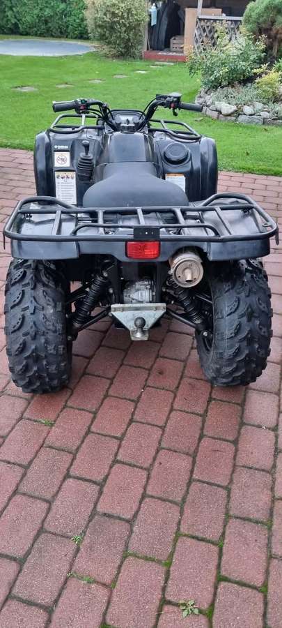 Yamaha Grizzly 2008 — вигляд ззаду
