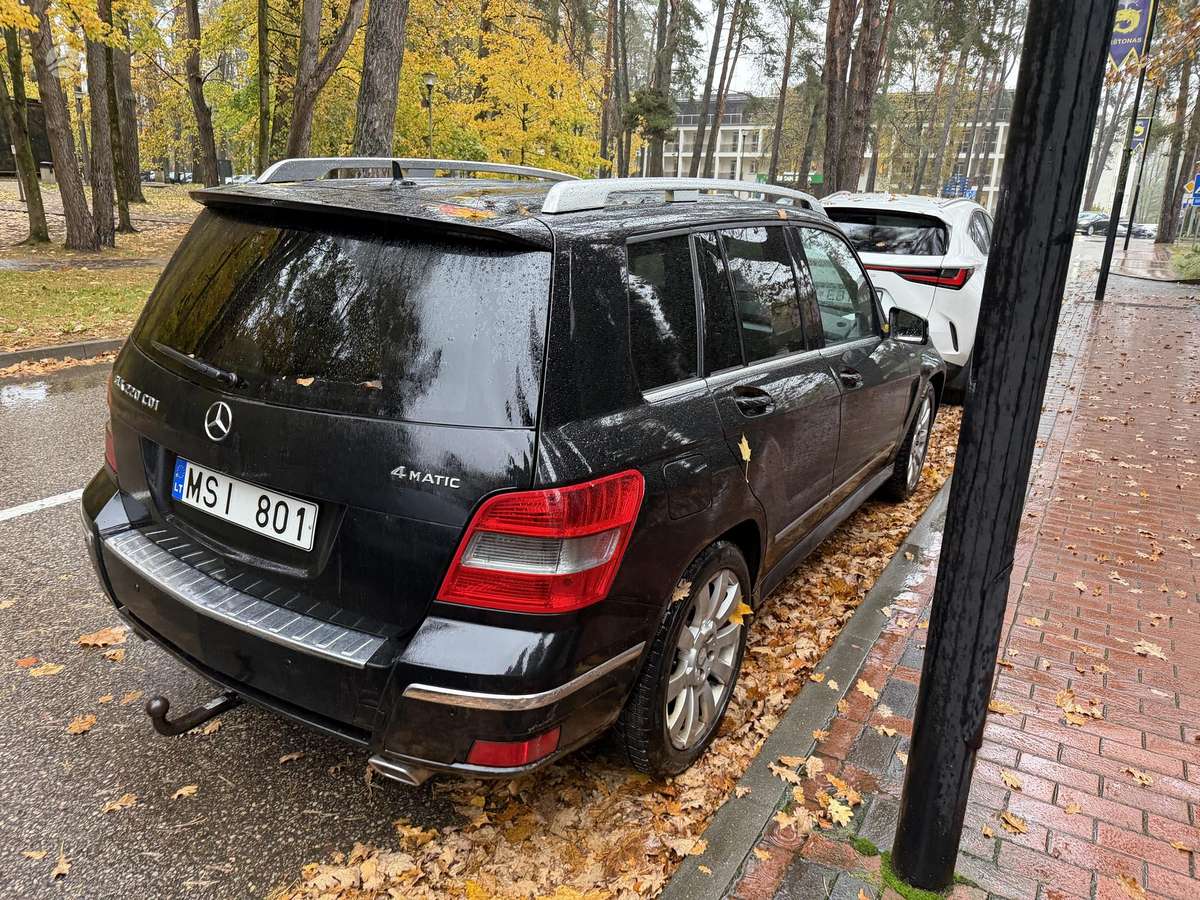 Mercedes-Benz GLK220 2010 — rear view
