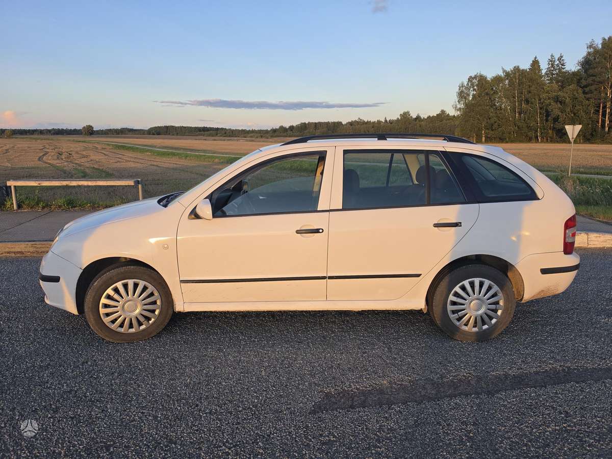 Skoda Fabia 2007 — rear view