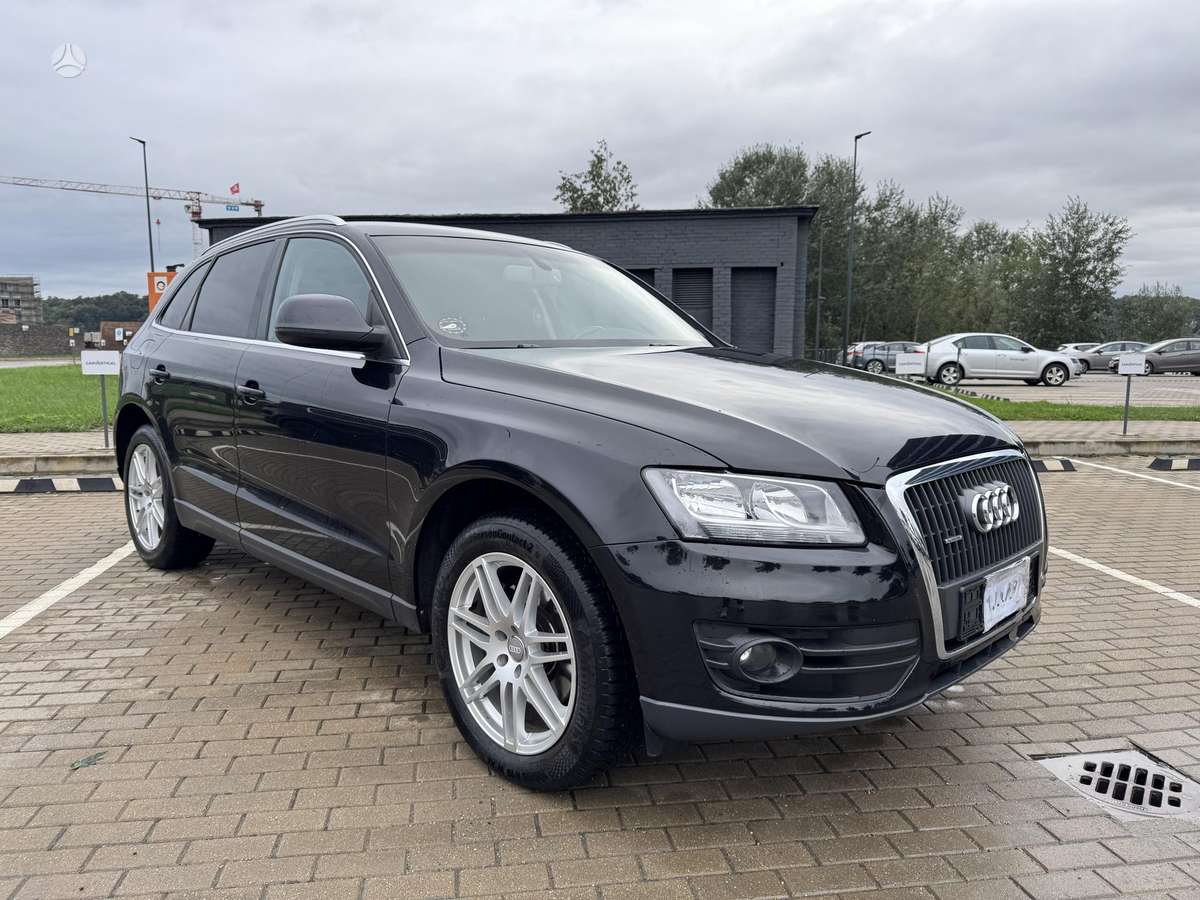 Audi Q5 2011 — вигляд ззаду