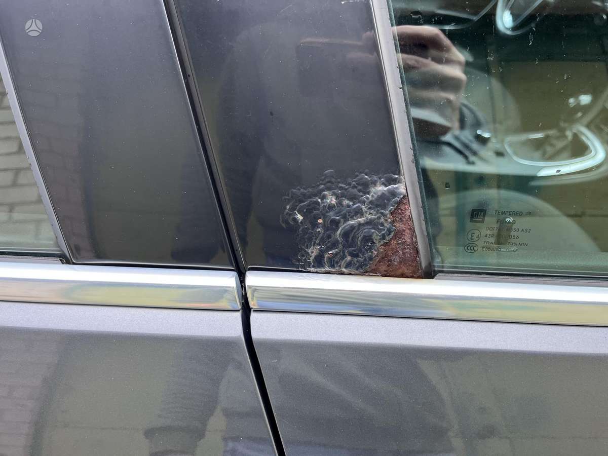 Opel Insignia 2010 — photo 16