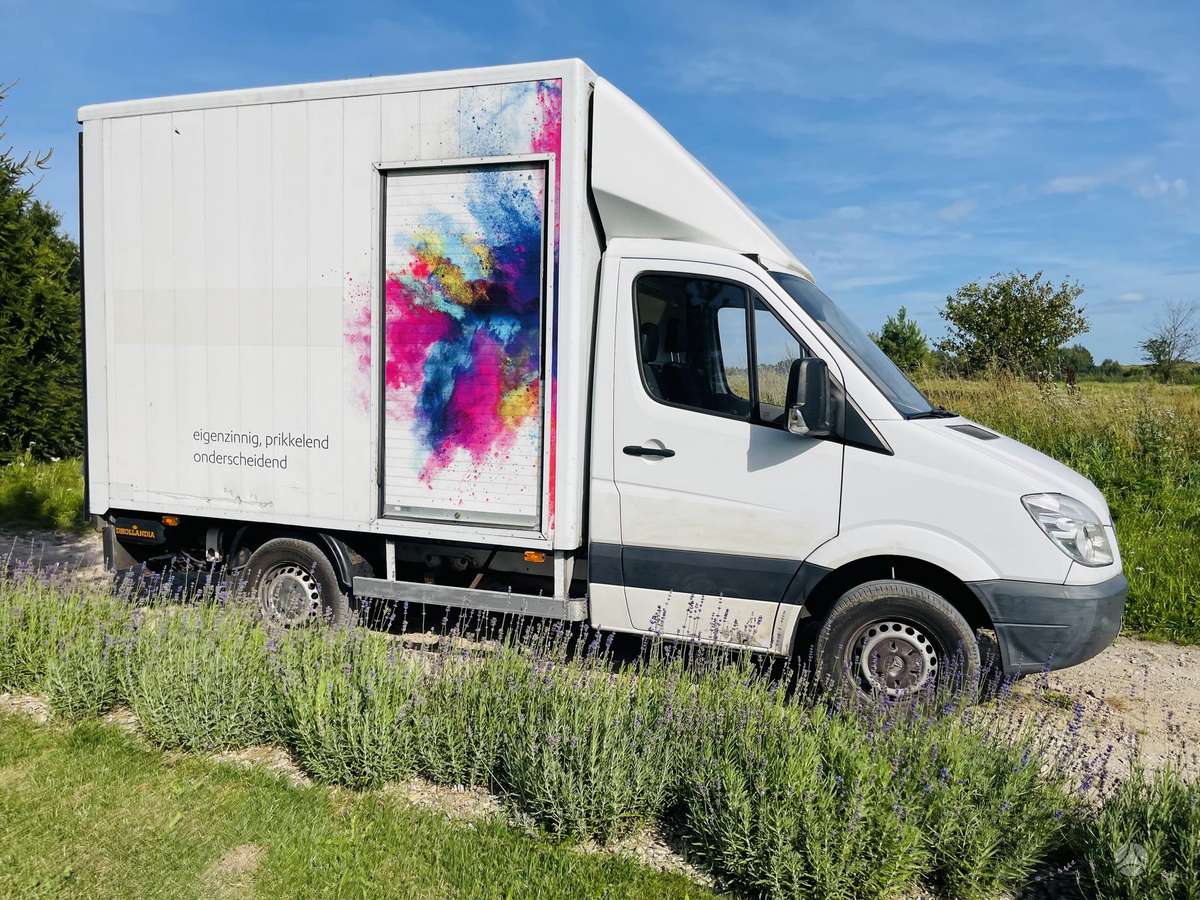 Mercedes-Benz Sprinter 2008 — вигляд ззаду