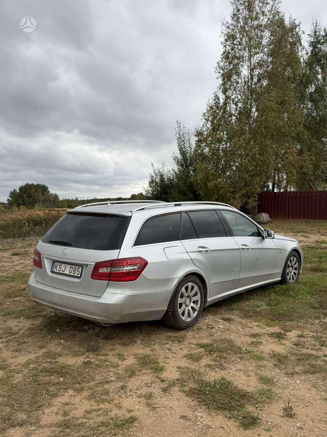 Mercedes-Benz E220 2010 — вигляд ззаду
