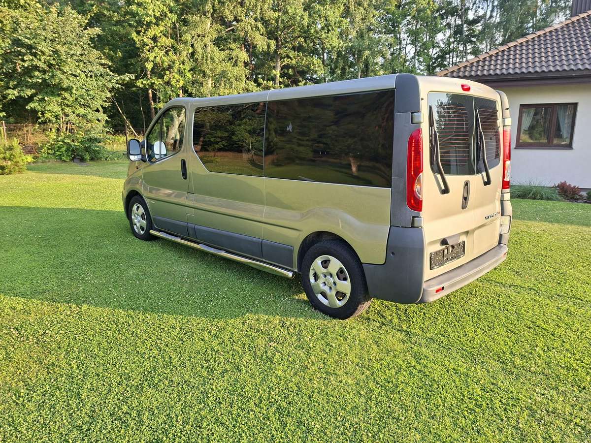 Opel Vivaro 2010 — вигляд ззаду