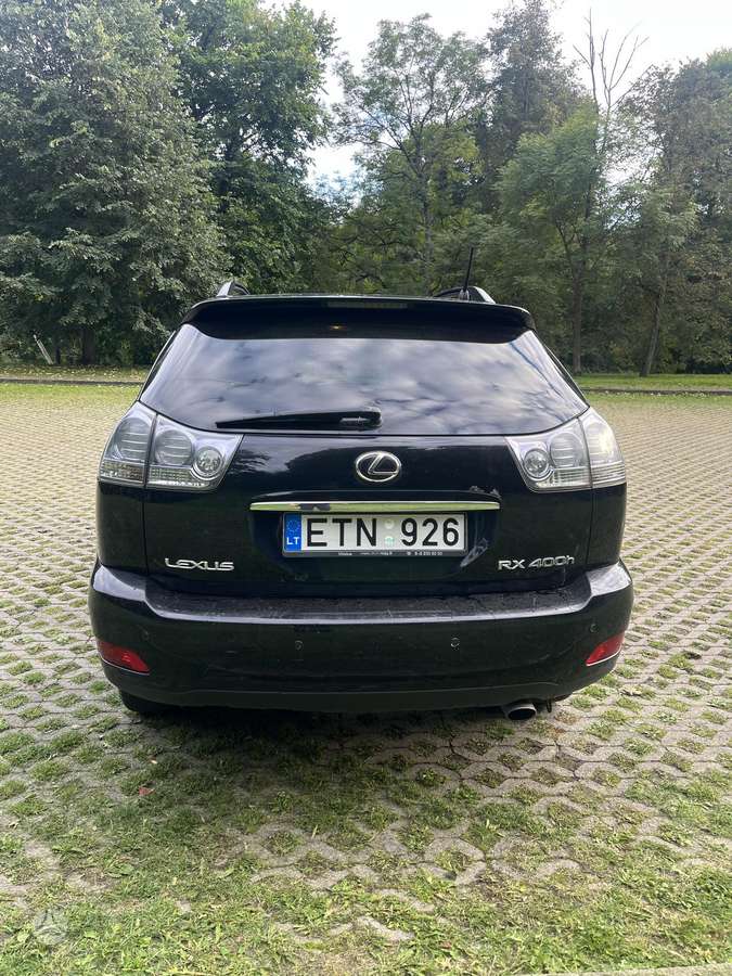 Lexus RX 2010 — вигляд ззаду