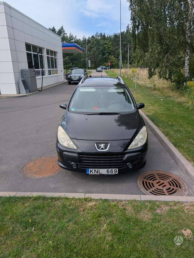 Peugeot 307 2006 — rear view