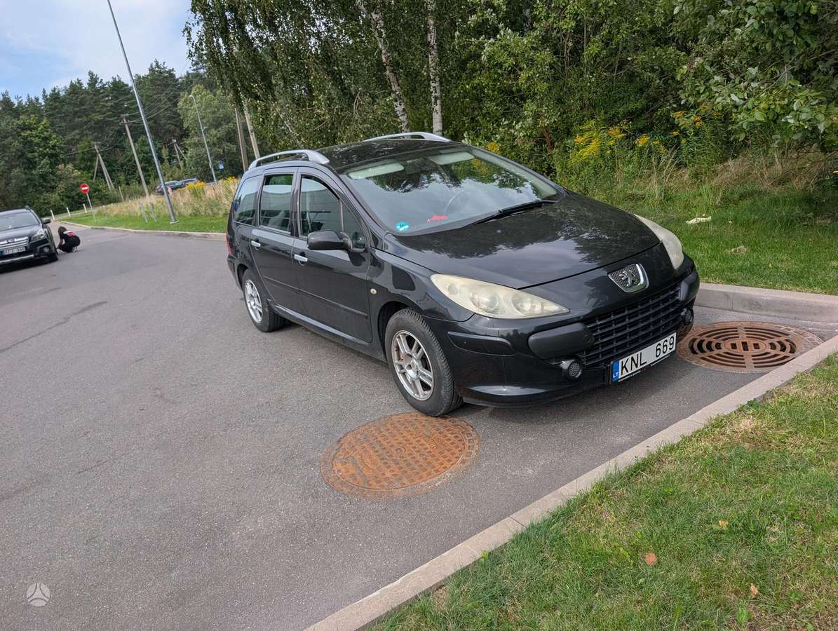 Peugeot 307 2006 — interior
