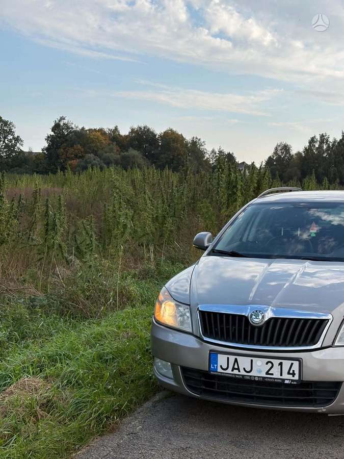 Skoda Octavia 2010 — rear view