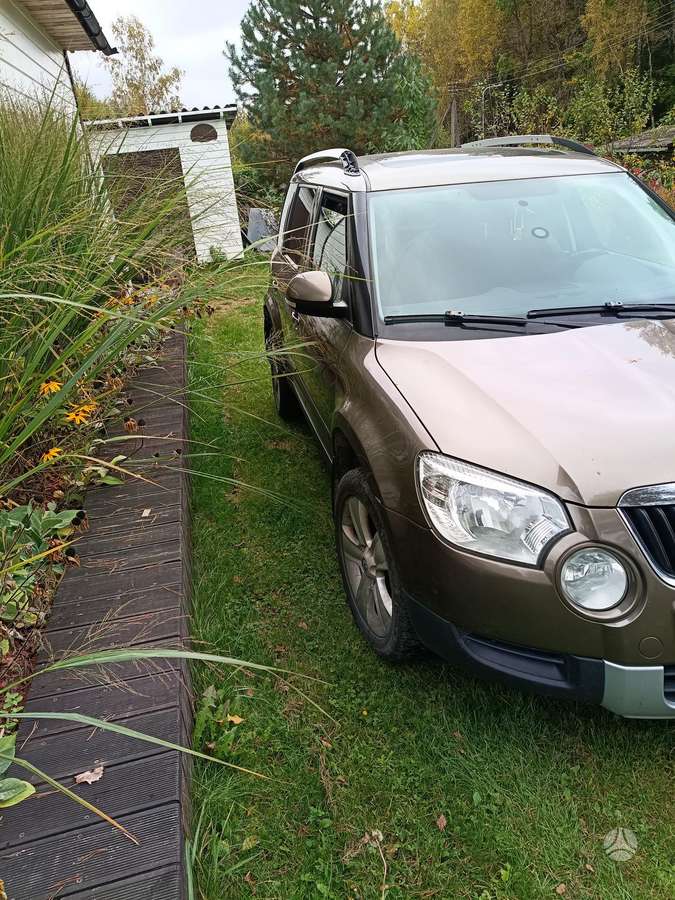 Skoda Yeti 2009 — вигляд ззаду