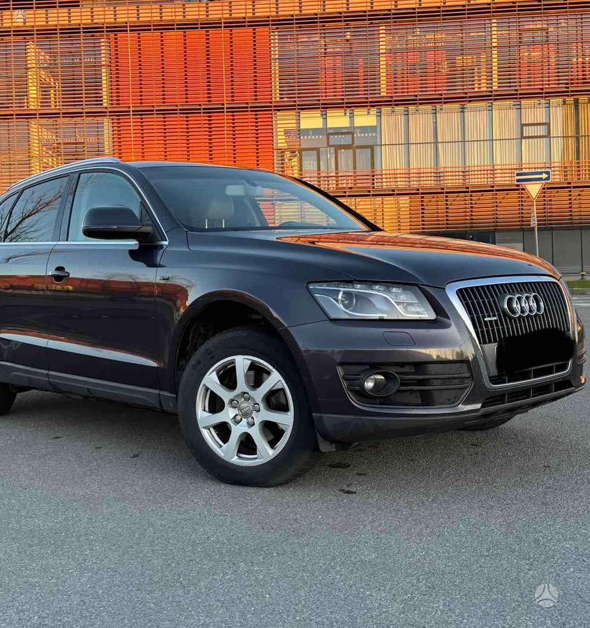 Audi Q5 2009 — вигляд ззаду