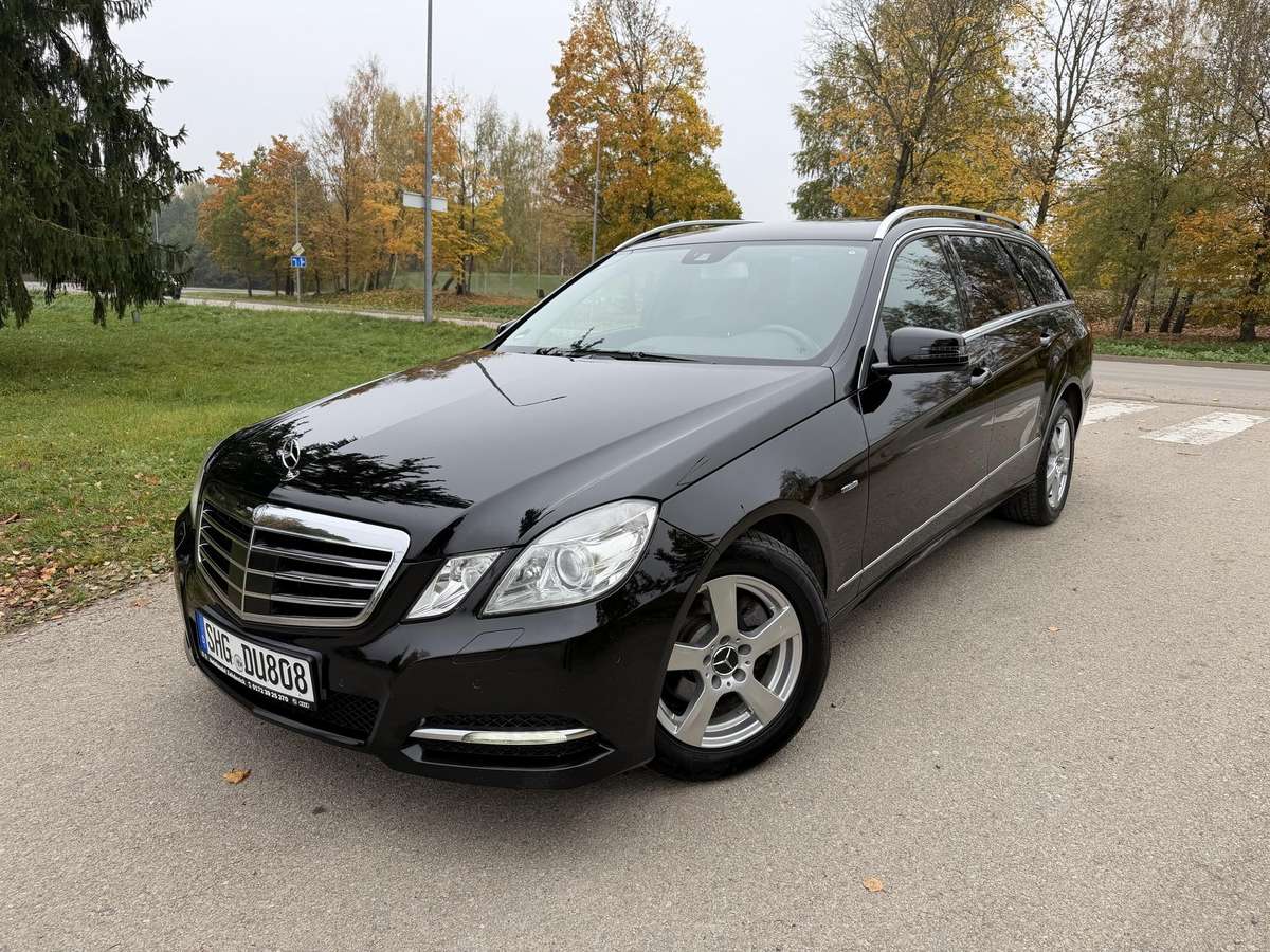 Mercedes-Benz E220 2011 — вигляд ззаду