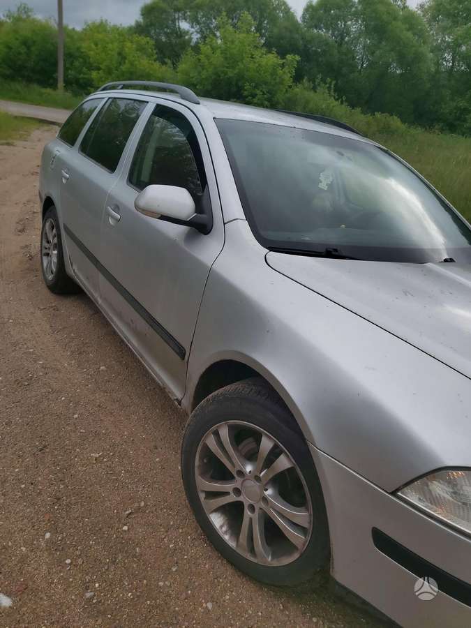 Skoda Octavia 2008 — вигляд ззаду