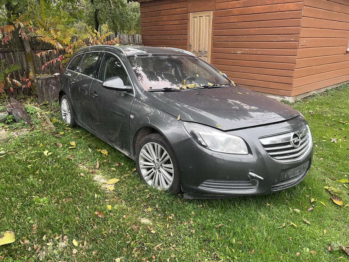 Opel Insignia, 2010