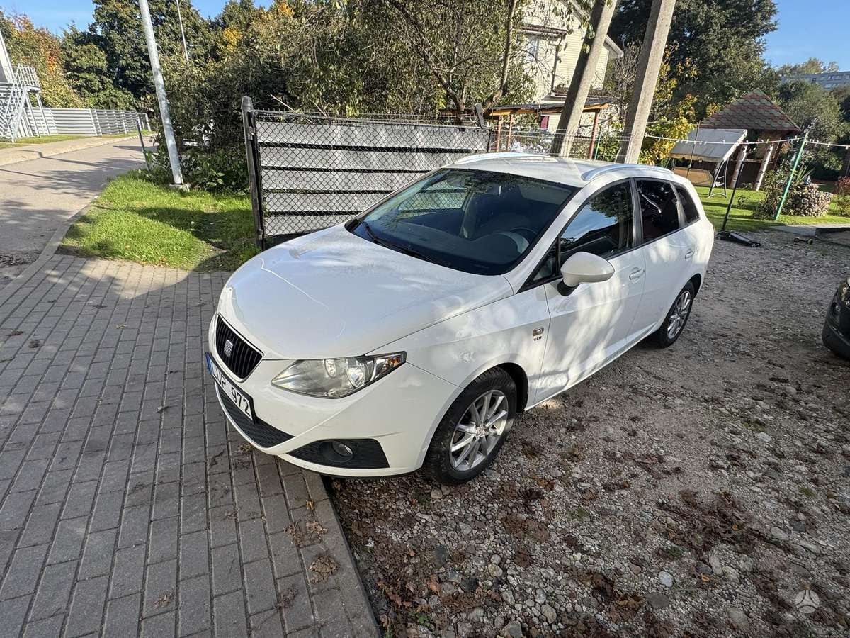 Seat Ibiza 2010 — rear view