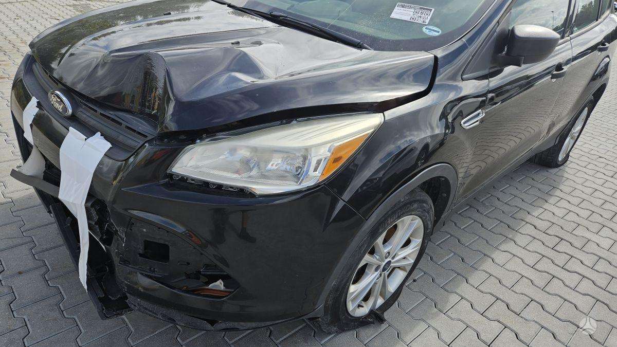 Ford Escape 2014 — вигляд ззаду