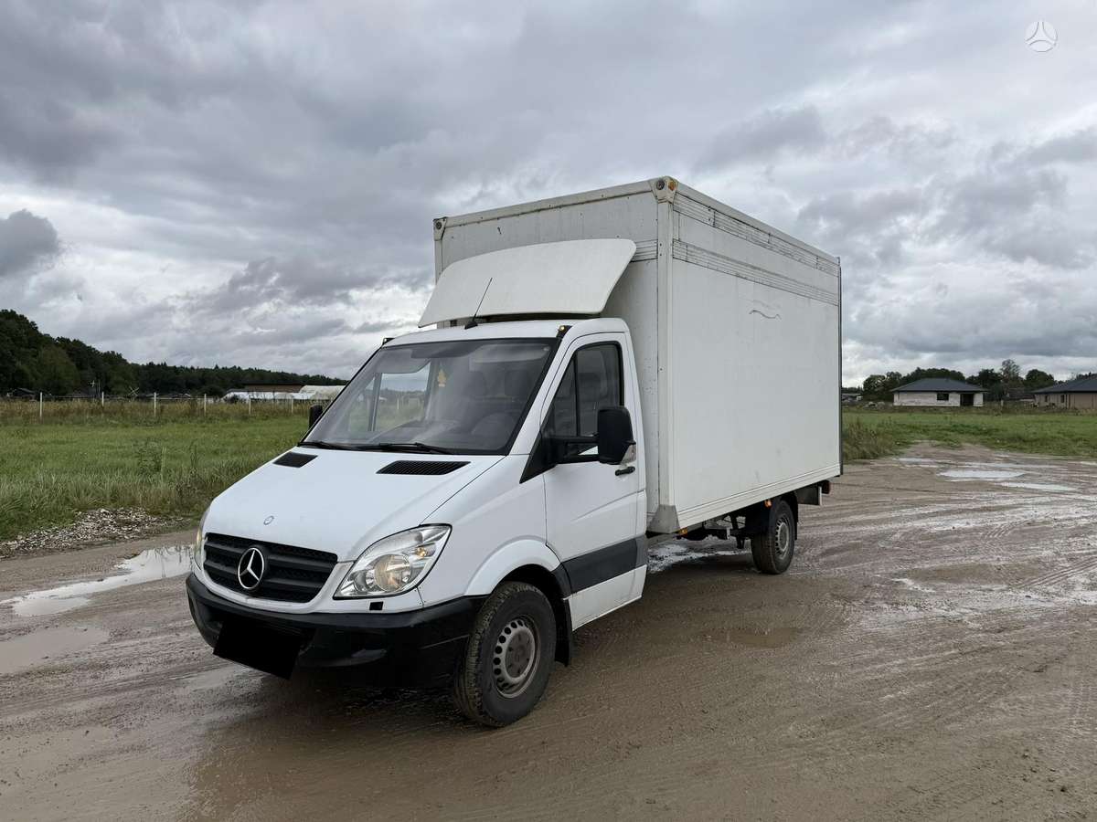 Mercedes-Benz Sprinter 2009 — rear view