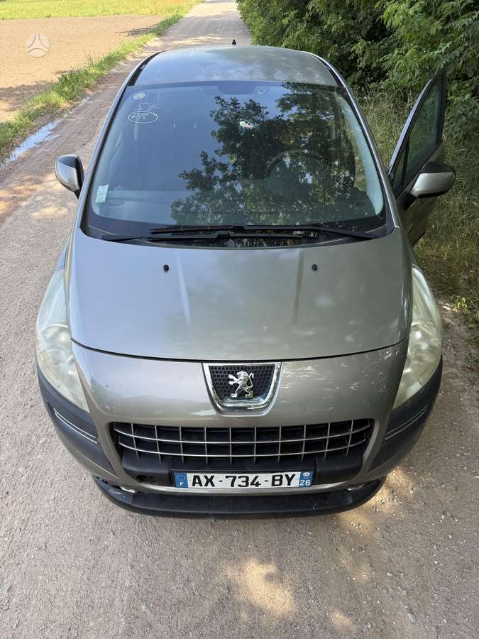 Peugeot 3008 2010 — вигляд ззаду