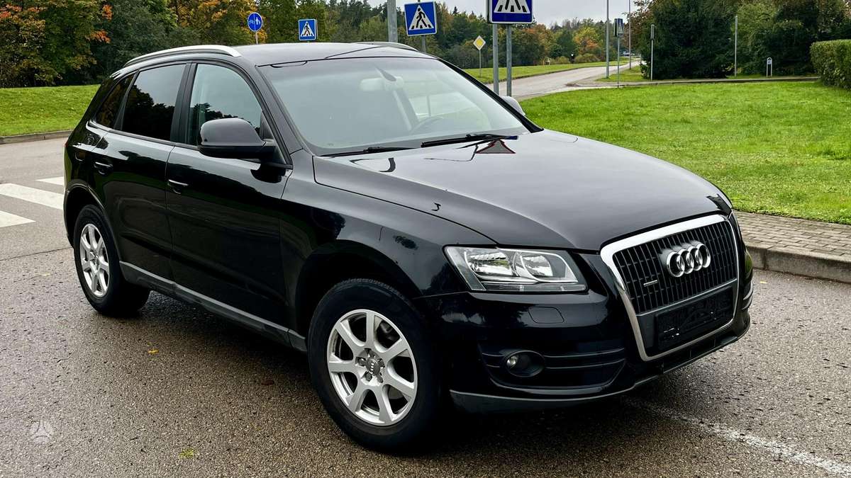 Audi Q5 2010 — вигляд ззаду