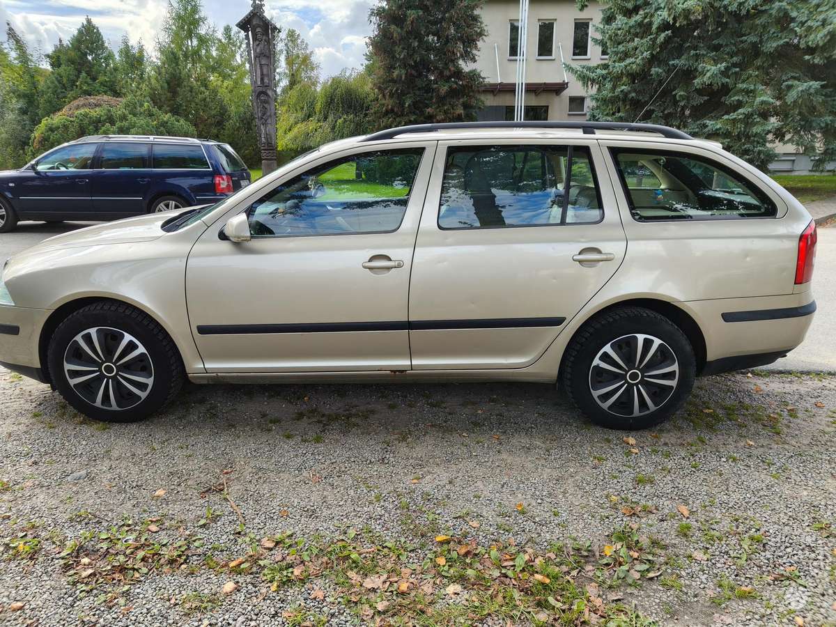 Skoda Octavia 2006 — rear view