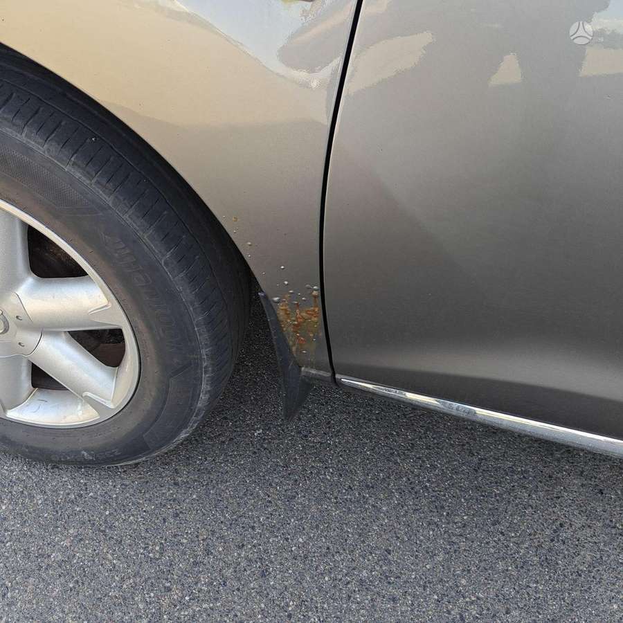 Nissan Murano 2009 — photo 5