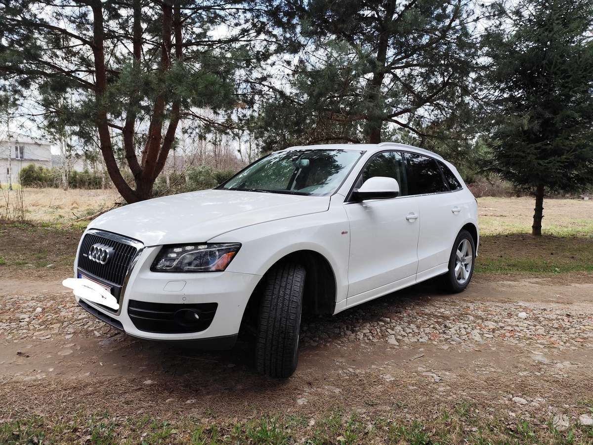 Audi Q5 2012 — вигляд ззаду