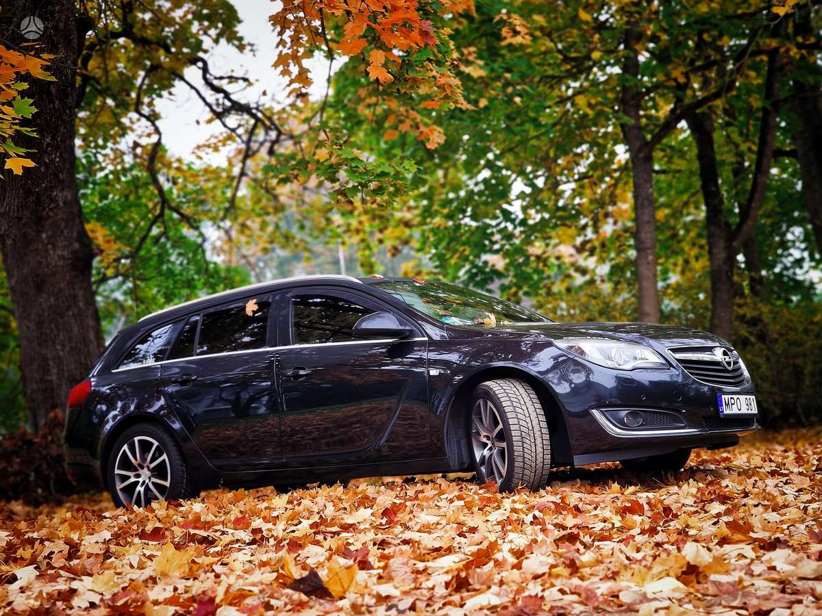 Opel Insignia 2015 — rear view