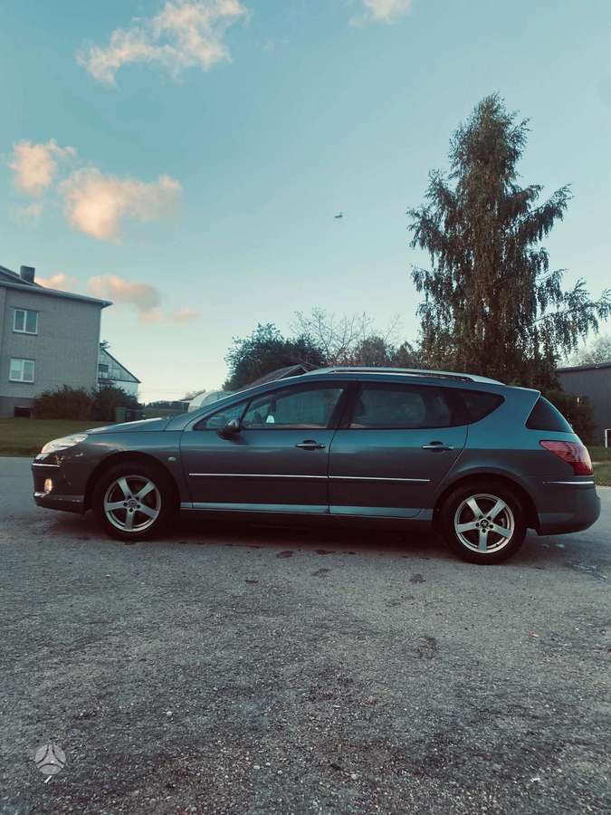 Peugeot 407, 2010