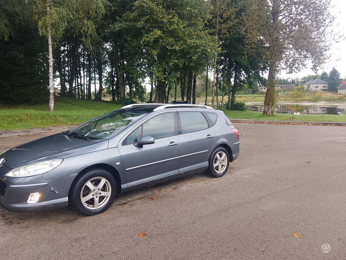 Peugeot 407 2010 — rear view