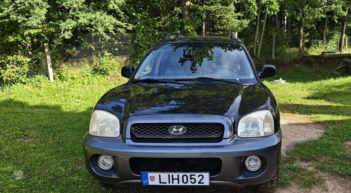 Hyundai Santa 2004 — photo 10