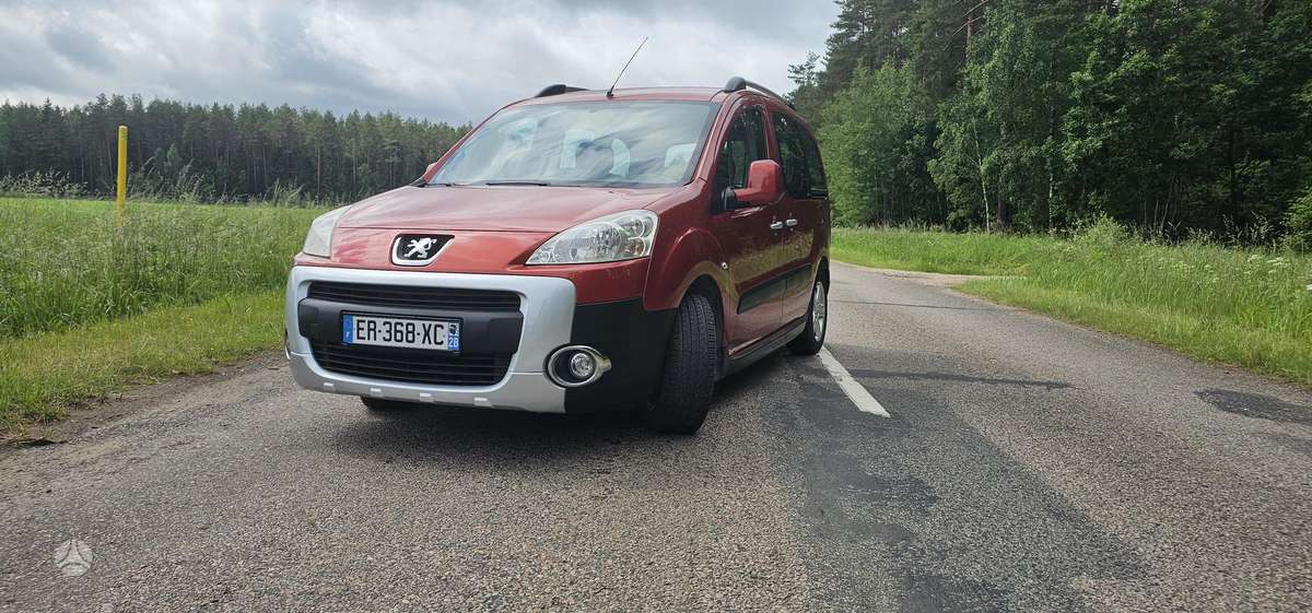 Peugeot Partner 2009 — rear view