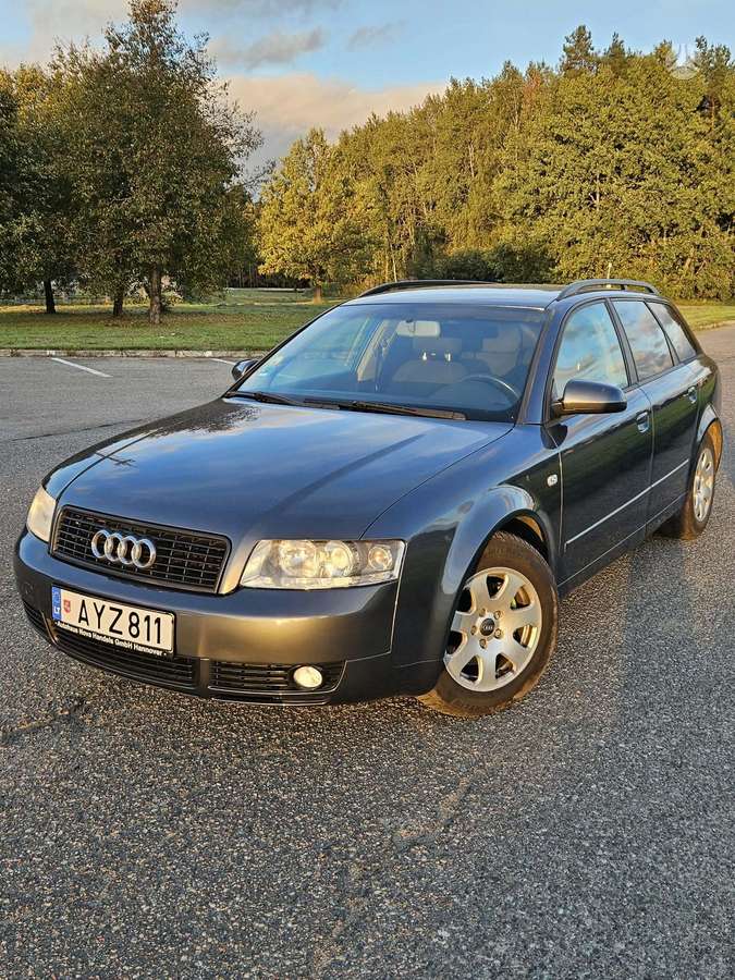 Audi A4 2004 — вигляд ззаду