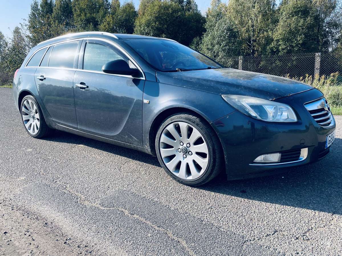 Opel Insignia 2010 — вигляд ззаду