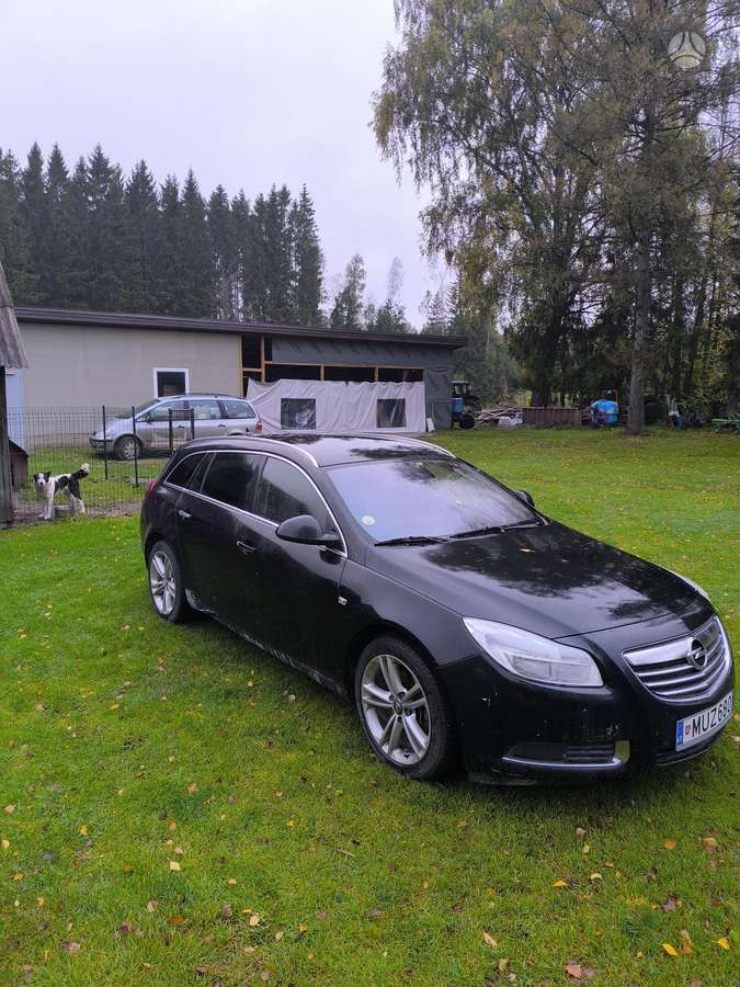 Opel Insignia 2011 — вигляд ззаду