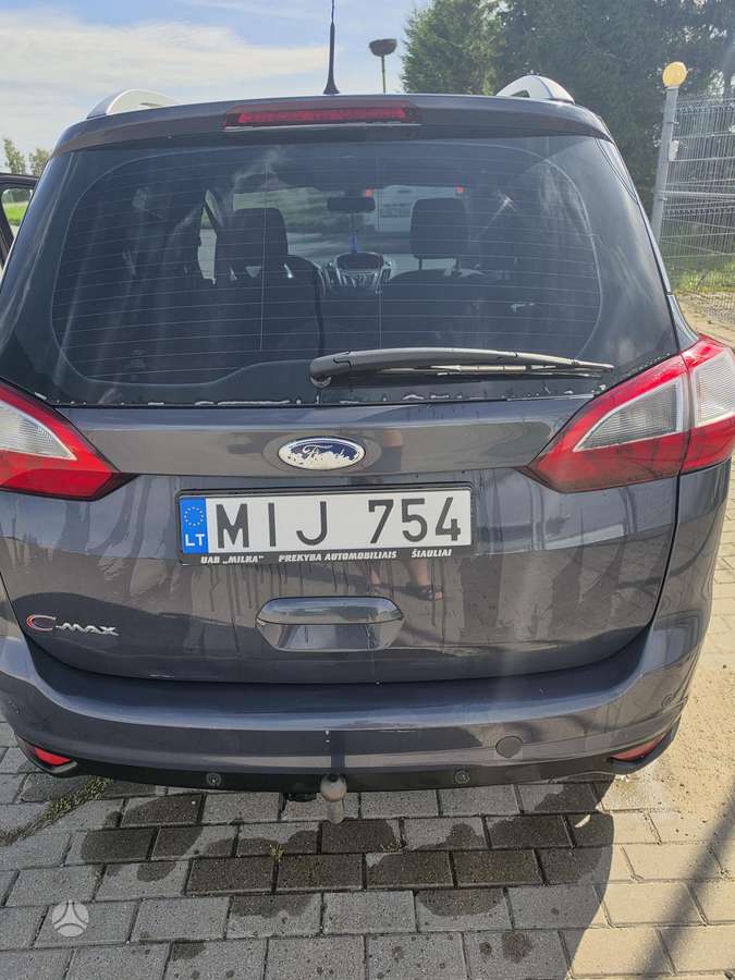 Ford Grand 2011 — rear view