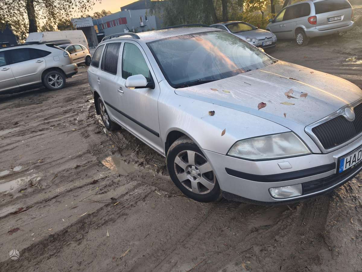 Skoda Octavia 2005 — rear view