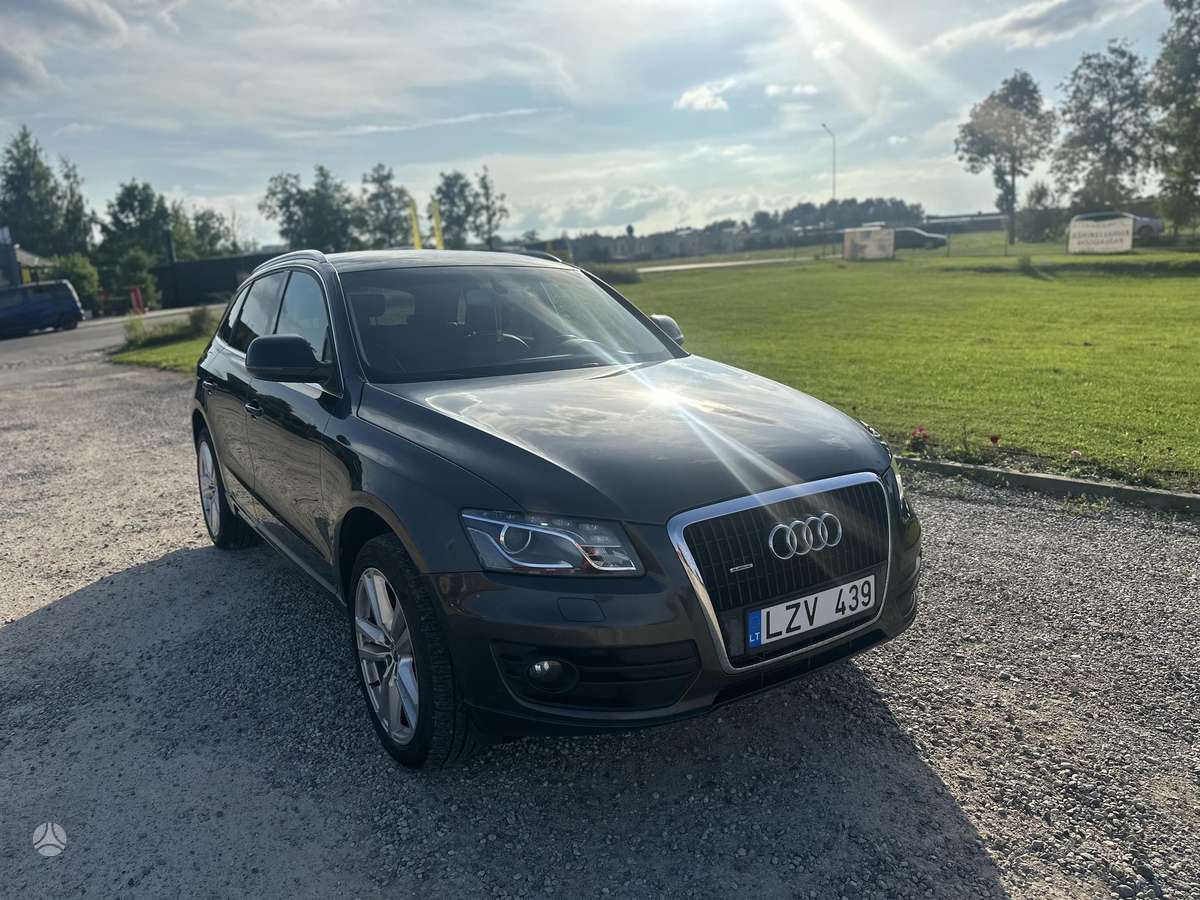 Audi Q5 2011 — вигляд ззаду